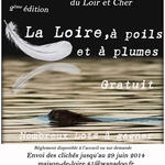 Concours photo « La Loire, à poils et à plumes »