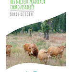 Guide de gestion des milieux embroussaillés des bords de Loire