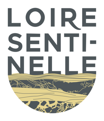 Logo de Loire sentinelle