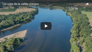 La Loire de la Vallée d'Anjout